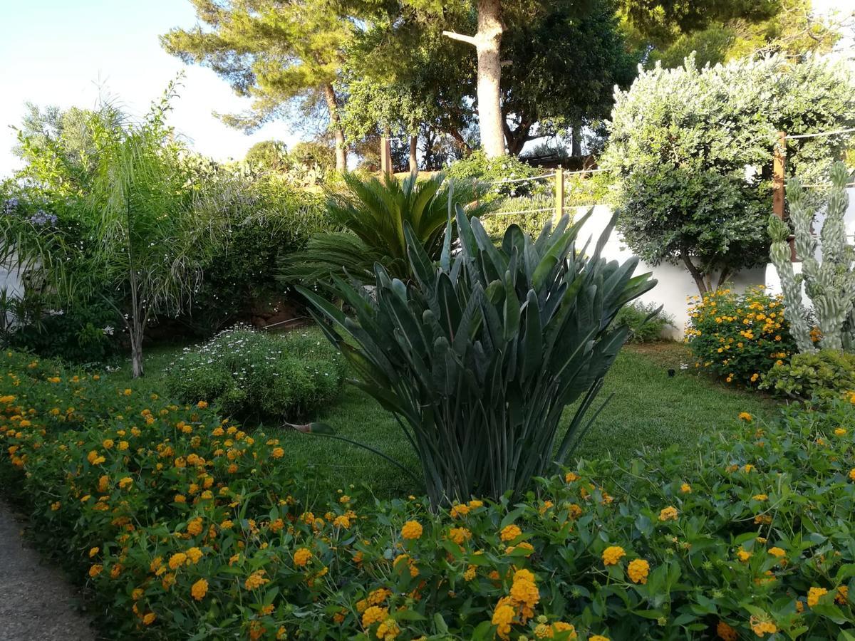 Bianco Sale Trapani Bed and Breakfast Rilievo Εξωτερικό φωτογραφία
