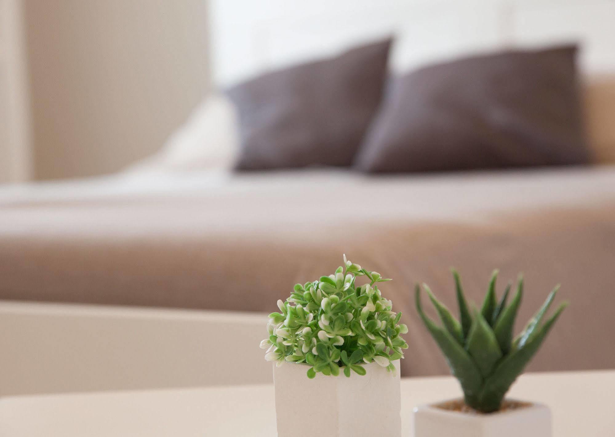 Bianco Sale Trapani Bed and Breakfast Rilievo Εξωτερικό φωτογραφία