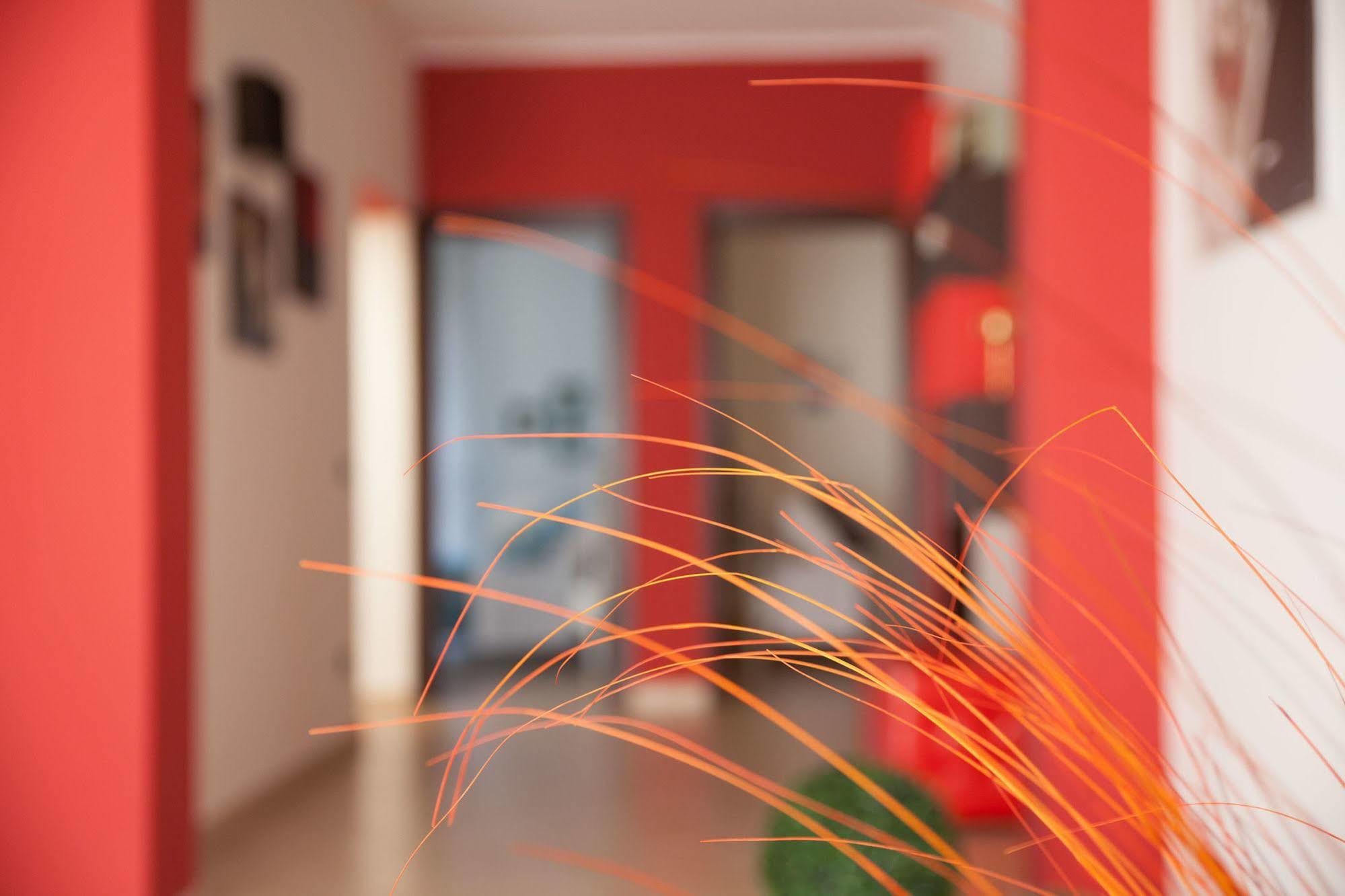 Bianco Sale Trapani Bed and Breakfast Rilievo Εξωτερικό φωτογραφία